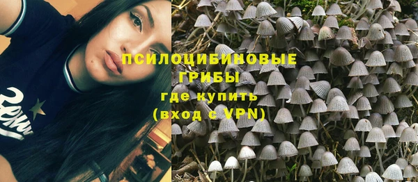 МДПВ Богданович