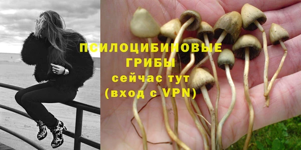 герыч Богородск