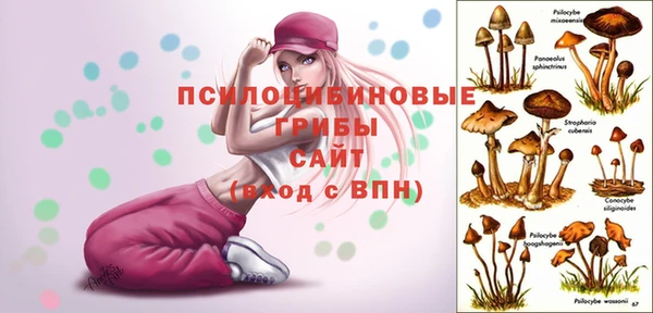 крисы Белоозёрский