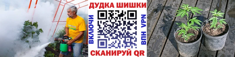 Бошки марихуана AK-47  Кириши 